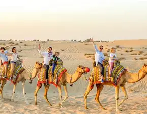Dubai Desert Safari Tickets | Best Deals & Top Experiences