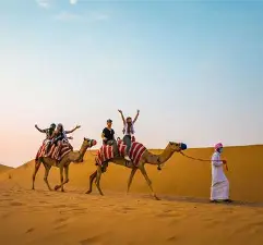 The Desert Safari Experience in Dubai - Dubai Desert Safari