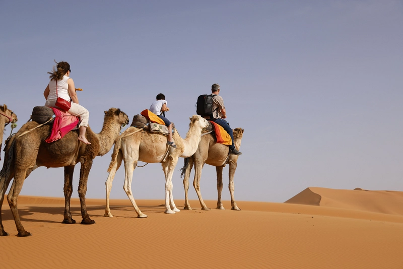 desert safari