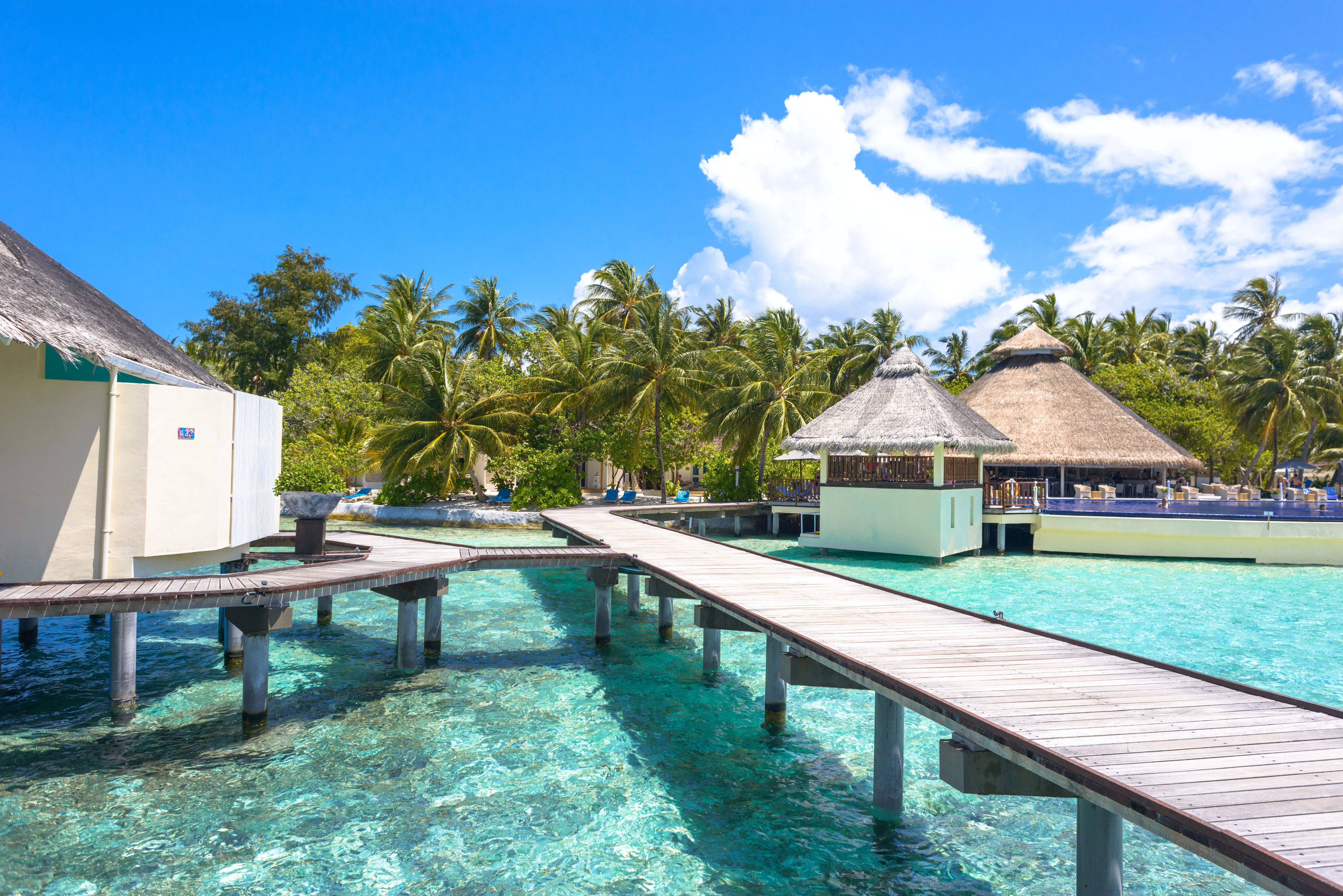 Maldives Tropical Bliss